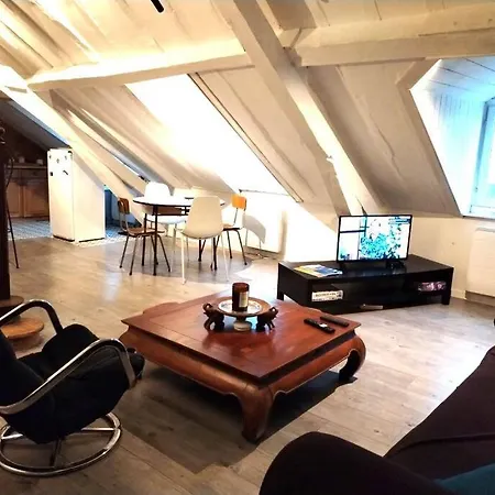 Au Chateau Perche ~ Hypercentre ~ Vue Chateau * Pau